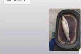 遇上催收怎么報警？掌握正確應(yīng)對方法