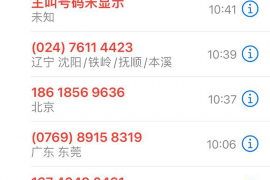 多莉找賽諾討債：一場現(xiàn)代債務(wù)糾紛的縮影