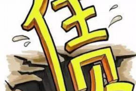 干催收攢50萬(wàn)：揭秘高效催收技巧與成功案例