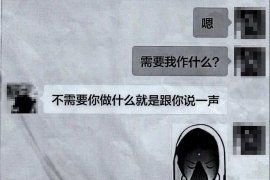 追討債務(wù)如何立案：全面指南與案例分析