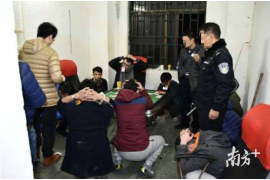 陽(yáng)光保險(xiǎn)風(fēng)控催收：守護(hù)金融安全，助力企業(yè)穩(wěn)健發(fā)展