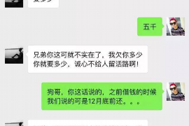 討債人的金牌調解：化解債務危機的藝術